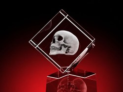 strahlend, LEDs, glasbild, geschenkidee, fotogeschenk, GLASFOTO.COM